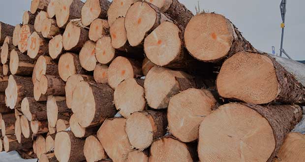 迈德高-甄选全球好木材品质升华